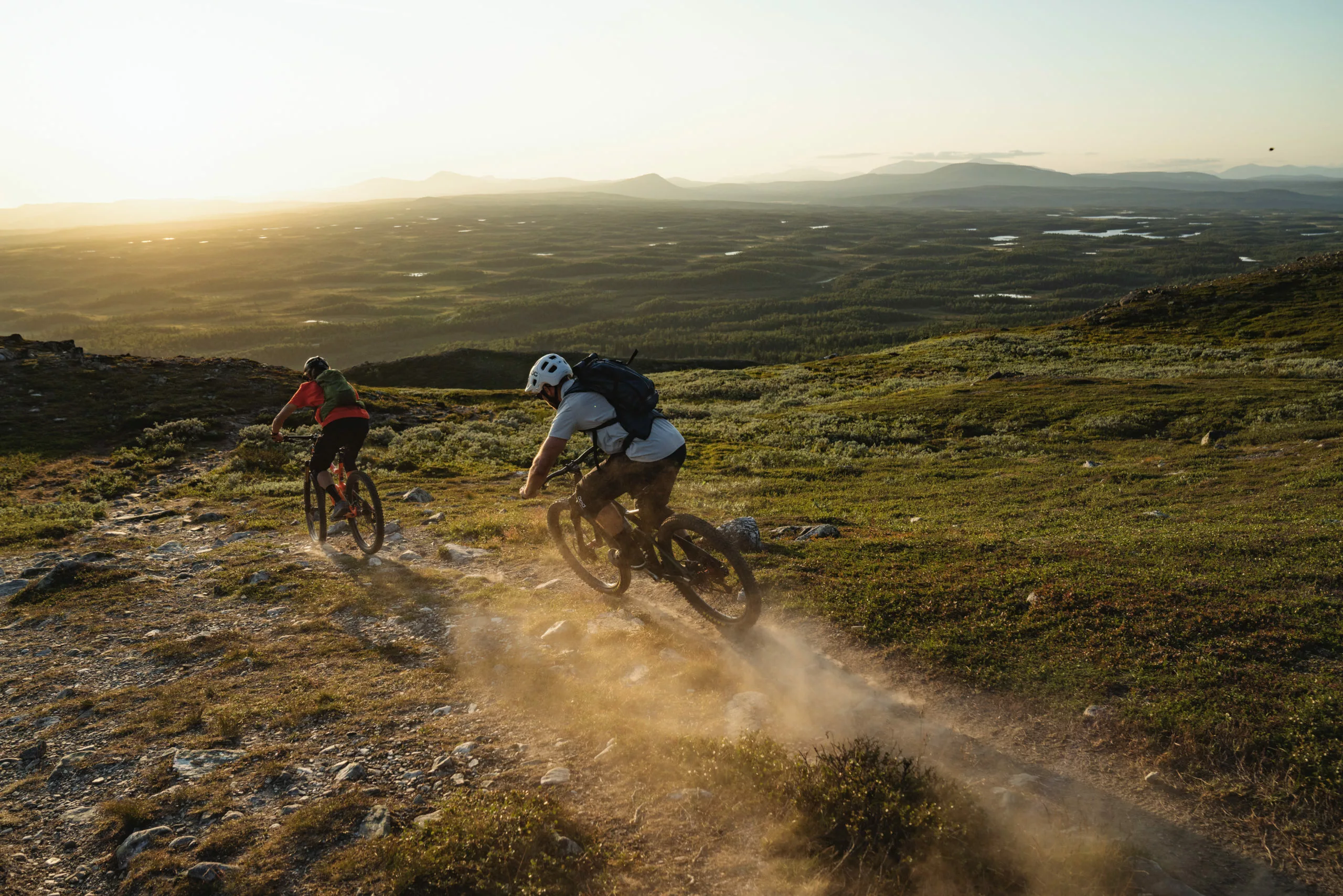 BIKES shop 39 BIKES shop -BIKES shop 11