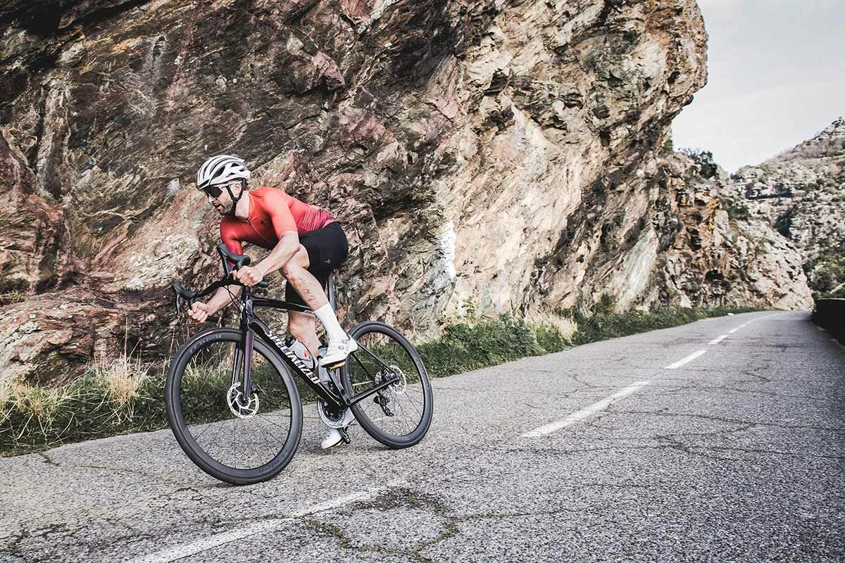 BIKES shop 2 BIKES shop -BIKES shop 181961075 4227925757238425 6446663908340716992 n