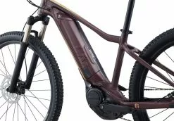 Liv Tempt E+ 1 2022 - Figuier -BIKES shop eslz8t05nz6vsxpvlef3