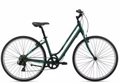 Liv Flourish 4 2022 - Trekking Green